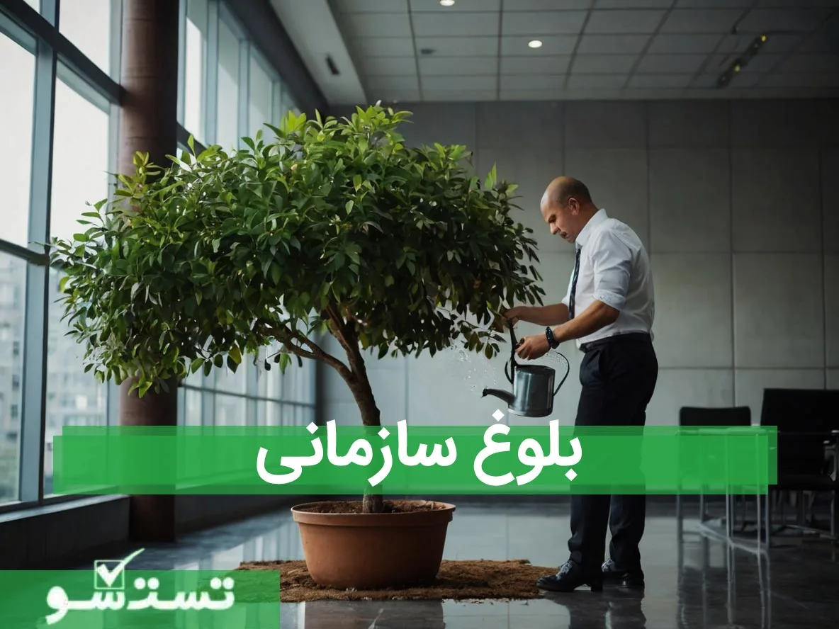 بلوغ سازمانی چیست؟